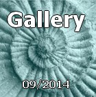 Gallery09/2014