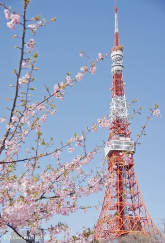 夜景もう美しい 東京タワーのおしゃれで高画質な画像 壁紙まとめ 写真まとめサイト Pictas