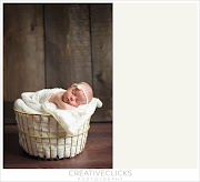 16+ Inilah Newborn Baby Basket Baby Jogger
