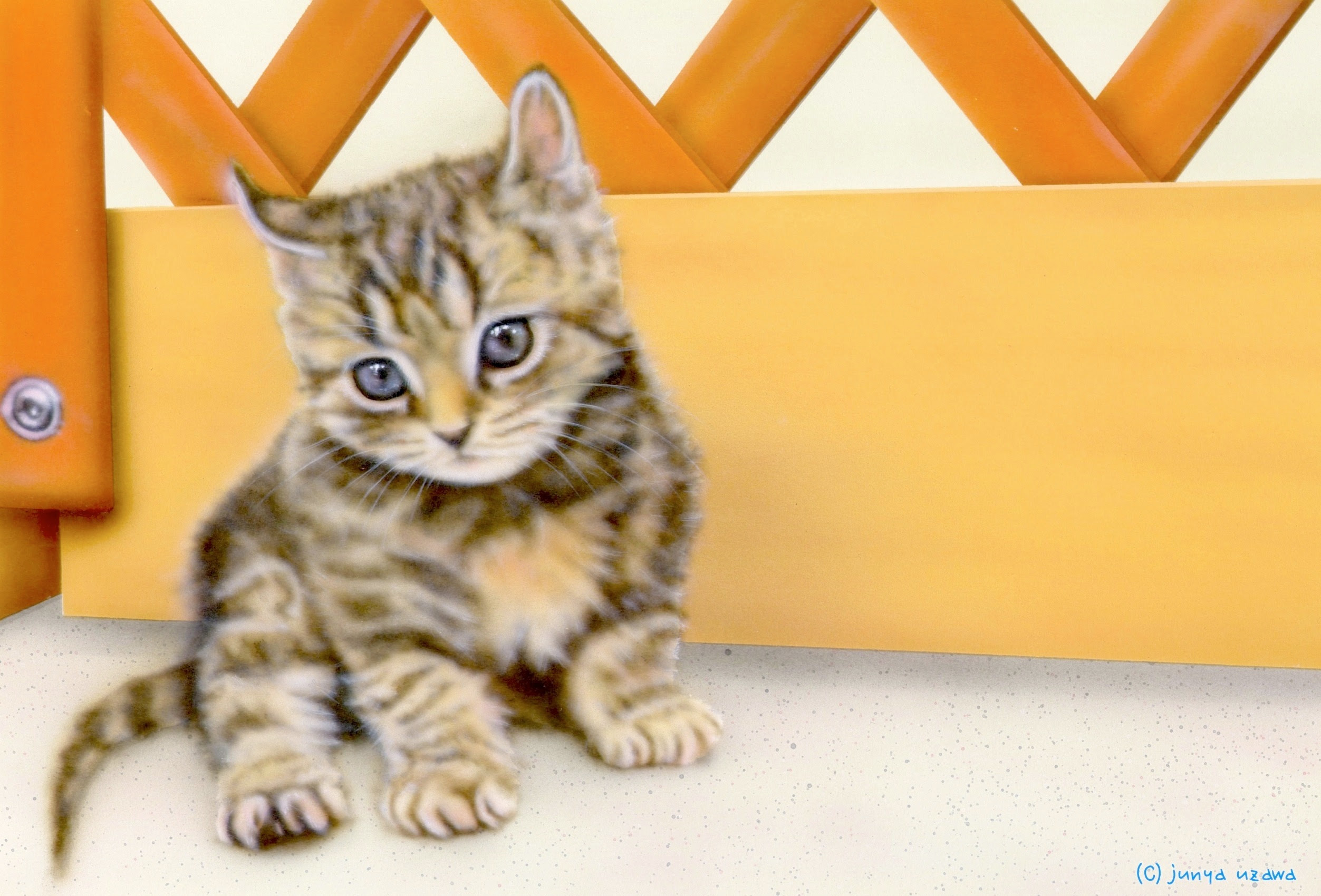 6月のデスクトップピクチャ 壁紙 Junya Blog 猫 犬 リアリズム絵画