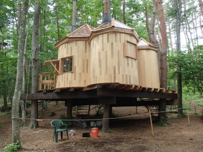 フジ プロジェ トｘ ツリーハウスの作り方 Blog Forest Adventure Mt Fuji