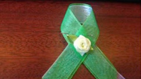 ht green ribbon kb 130212 wblog LIVE UPDATES: 2013 State of the Union Address 