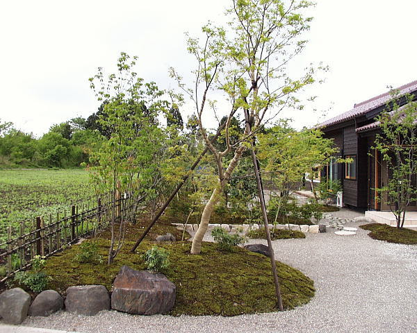 庭園ギャラリー 日本庭園 和風庭園など こだわりの庭の設計施工 創作庭園専門 渡部造園