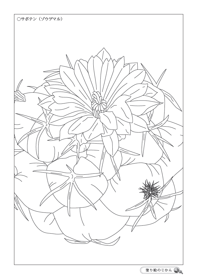 8月の花ぬりえ 塗り絵のじかん