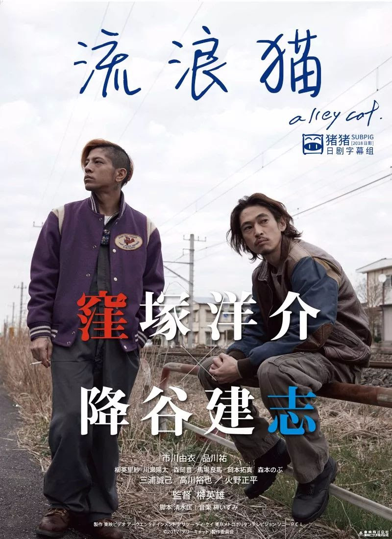 洼冢洋介主演最新电影 流浪猫