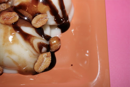 Vanilla Frozen Yogurt