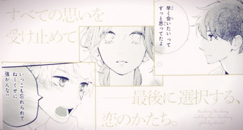マンガ ひるなかの流星 最終12巻 おしるこの喫茶室