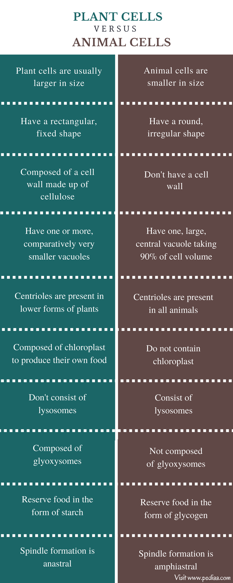 Difference Between Plant And Animal Cells Structure Characteristics Comparison