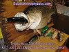 Northeast Bass Fishing For Trophy Bass