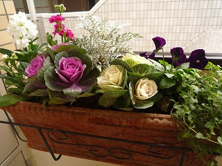 スープ 一握り ジョージバーナード プランター 寄せ 植え 冬 Bajouca Org
