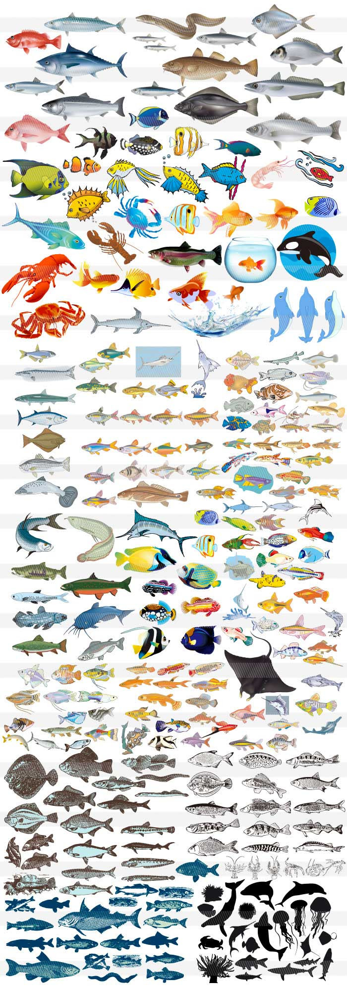人気ダウンロード オシャレ おしゃれ 魚 イラスト かっこいい