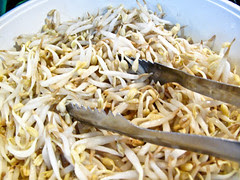 IMG_1725 taugeh,bean sprout