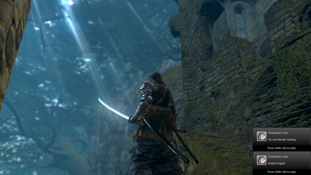 Dual Wielding Vanity Bastard Swords Washing Poles And Uchigatanas Darksouls