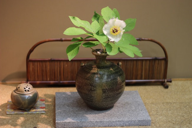 今日の花 ヤマシャクヤク 備前焼窯元 小西陶古