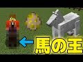 75+ マイクラ 馬 種類