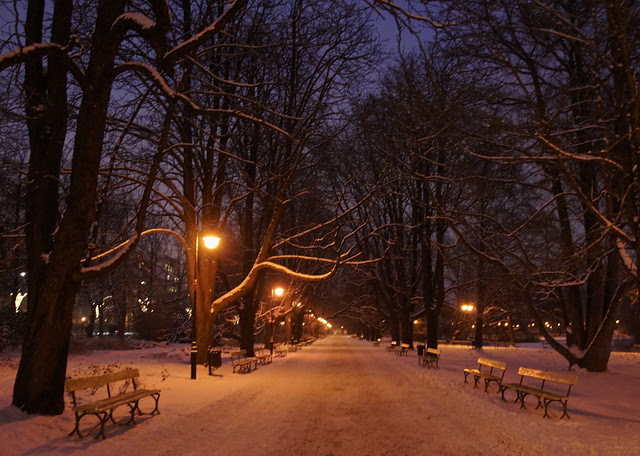 DSC06711 - Version 2