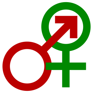 Sexuality and gender identity-based cultures
