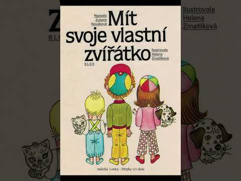 Obrázek