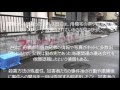 無料ダウンロード 舟橋 龍一 家族 210420