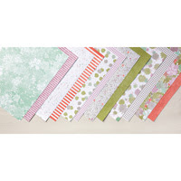 Succulent Garden Designer Series Paper