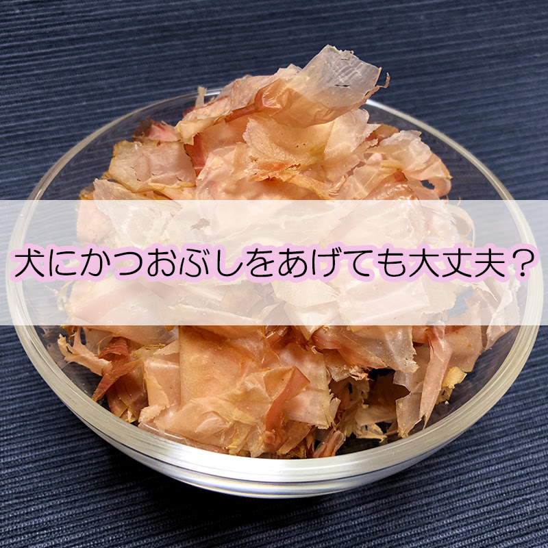 犬にかつおぶしをあげても大丈夫