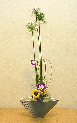 10月7日的池坊作品 自由花 小蕭的秘密花園 痞客邦