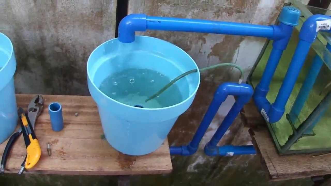 hydroponic nutrients are highly used to grow various kind
