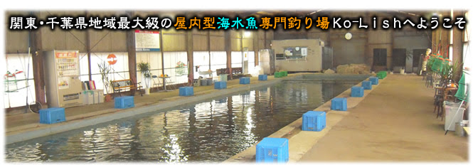 千葉県富里市 海水魚の釣堀 コリュッシュ