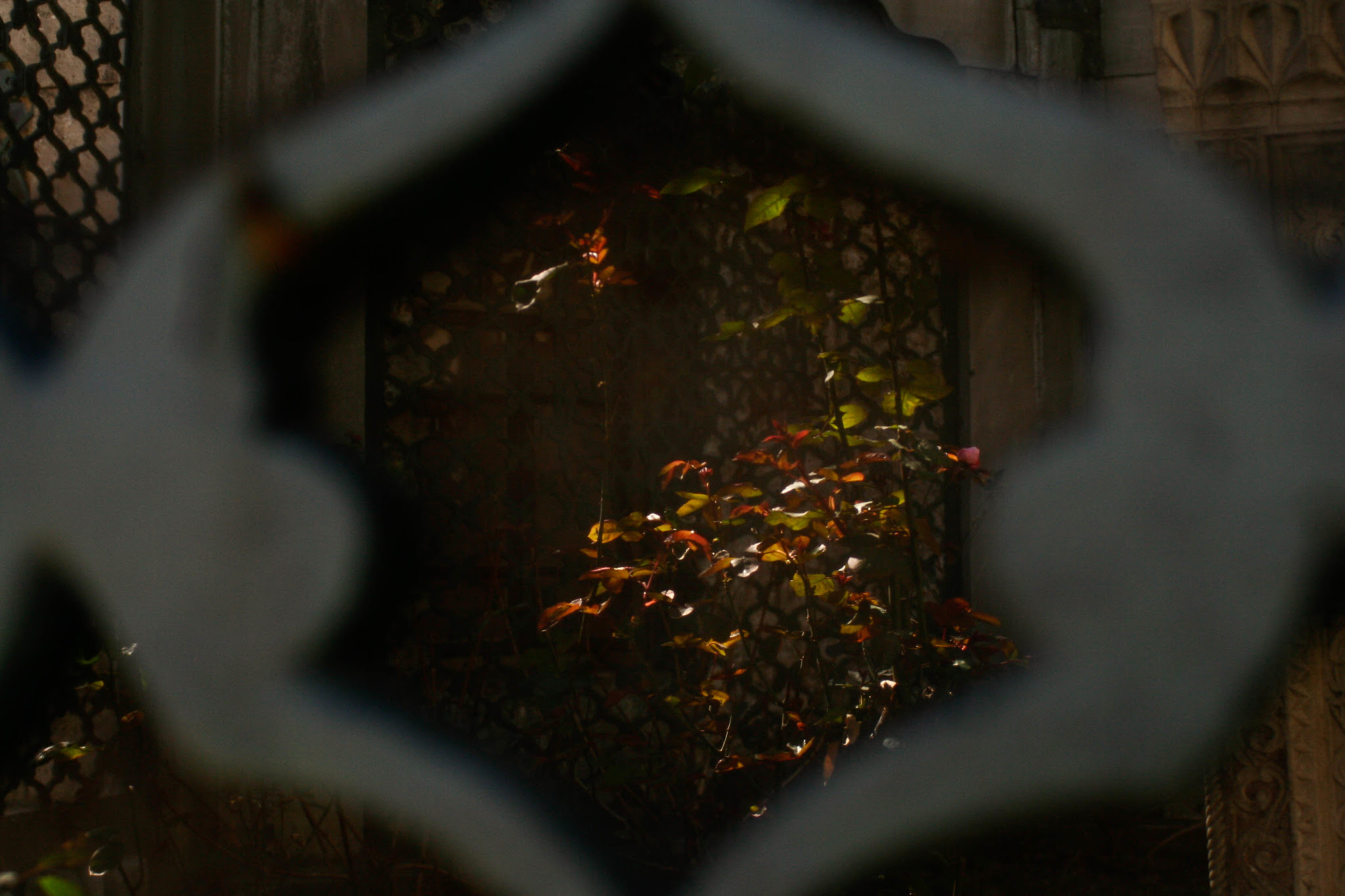 Peering into a mausoleum.