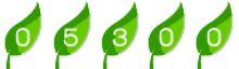 web page visit counter