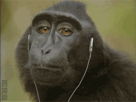 funny animated gif