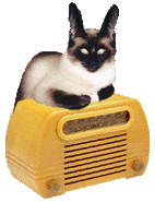 Old Time Radio Cat