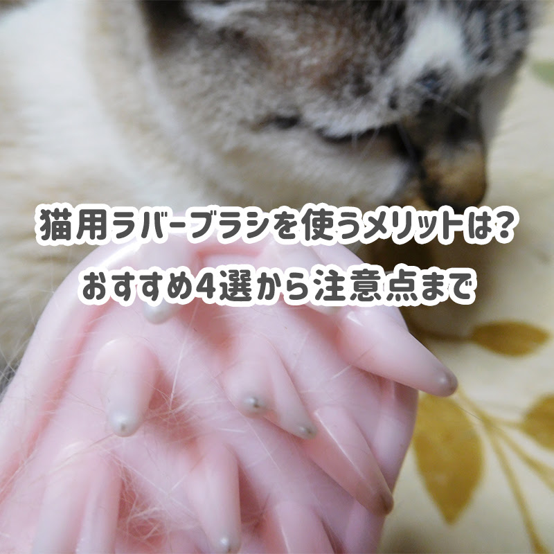 猫用ラバーブラシを使うメリットは おすすめ4選から注意点まで