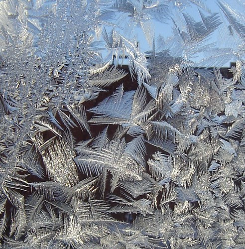 Frozen by Anna Amnell