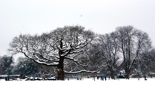bruce castle park (9)