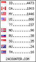 visitors by country counter