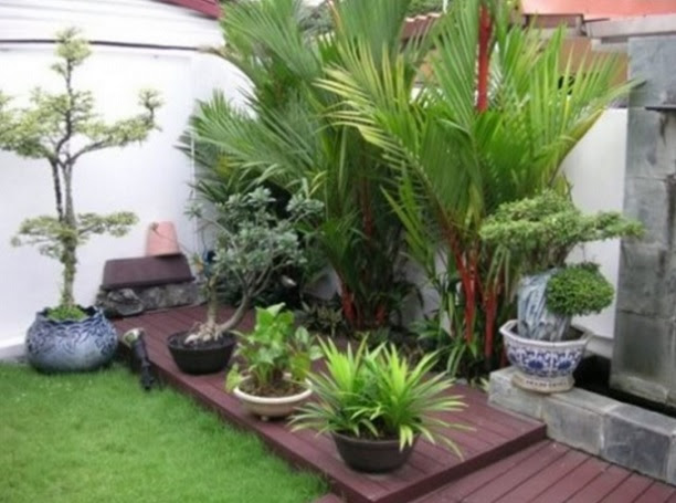 Rekomendasi Cara Menata Tanaman Hias Di Depan Rumah Rekomendasi Cara Menata Tanaman Hias Di Depan Rumah