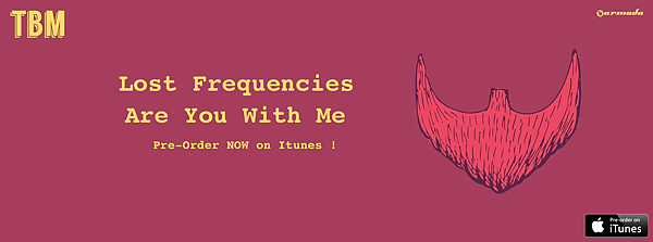 Lost Frequencies Are You With Me 含中文歌詞 Cheers 痞客邦