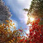 I colori dell'Autunno