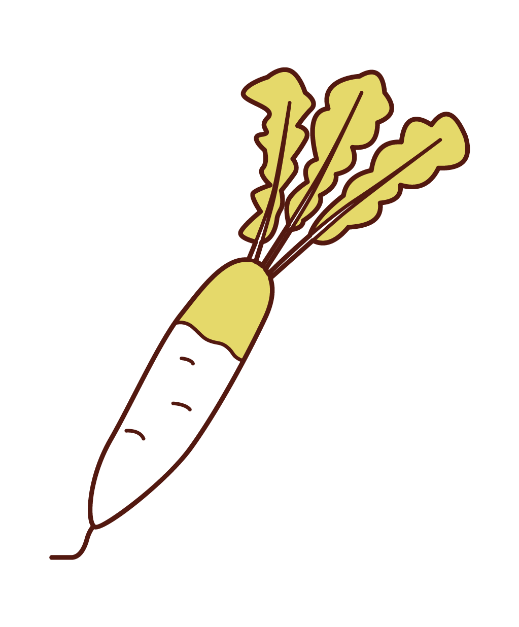 大根のイラスト フリーイラスト素材 Kukukeke ククケケ