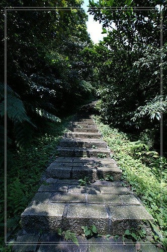 PICT5278
