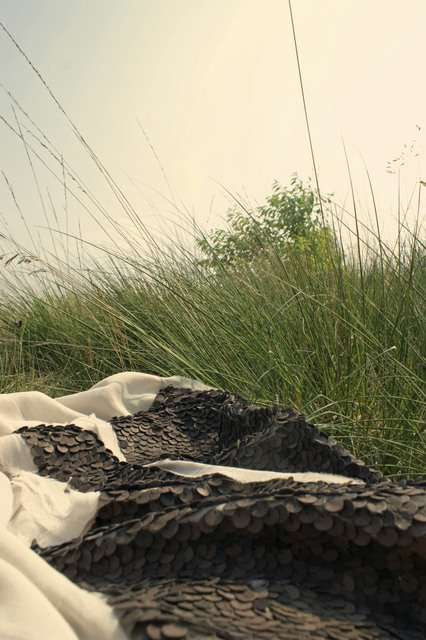 Image Hosted by ImageShack.us