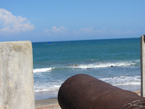 Cannon, Point and fire