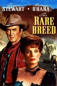 Rancho bravo 1966 cineblog01 completo movie italia sottotitolo in
inglese maxicinema download