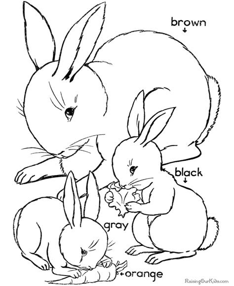 Find out our latest kindergarten coloring pages, free download. color worksheets for preschool coloring home