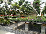 Populer 38+ Taman Bunga Gantung