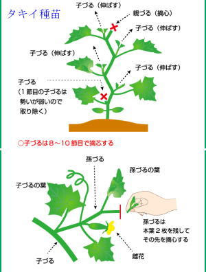 Q ａ本文 No12 451 12 600