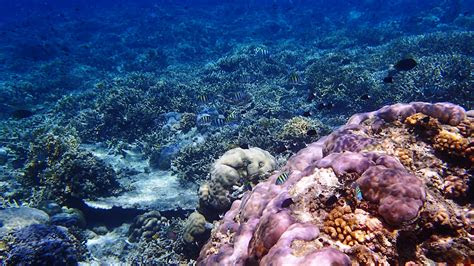 wallpaper pemandangan jpg pemandanganoce