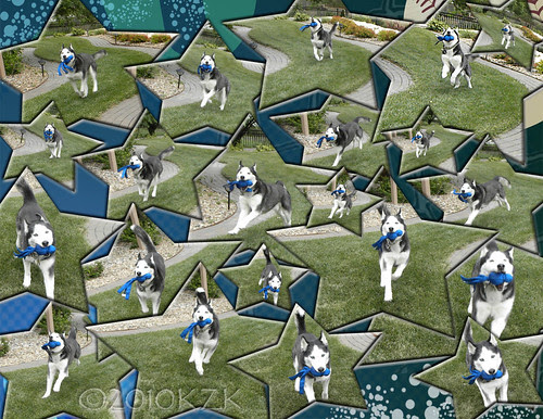 CollageDaveWubbaStarCopy