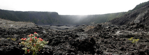 Volcano National Park, Kilauea Iki crater